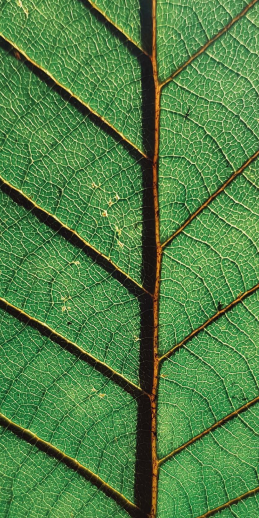 Eco-friendly packaging